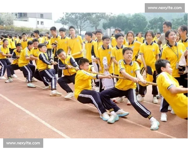 从拔河比赛中体悟团结协作与坚持拼搏的集体力量与成长启示人生价值