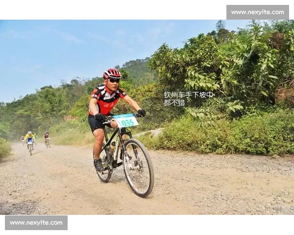 以比赛编号为核心的赛事进程分析与结果解读全景报道权威专题呈现