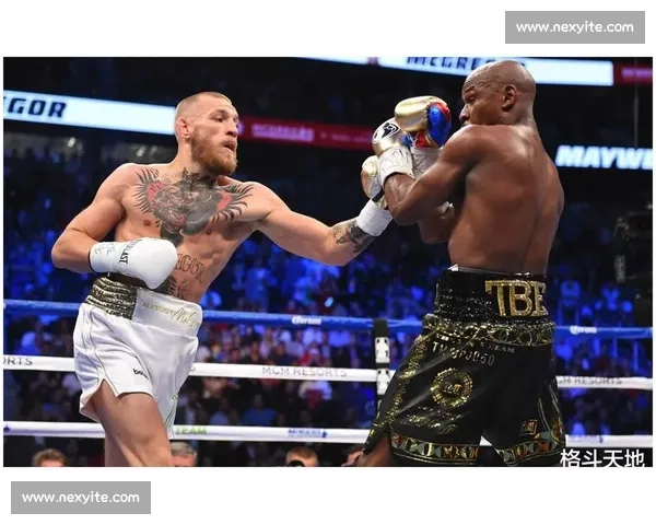 全面解读UFC综合格斗比赛规则与裁判判罚机制详尽指南与实战要点分析